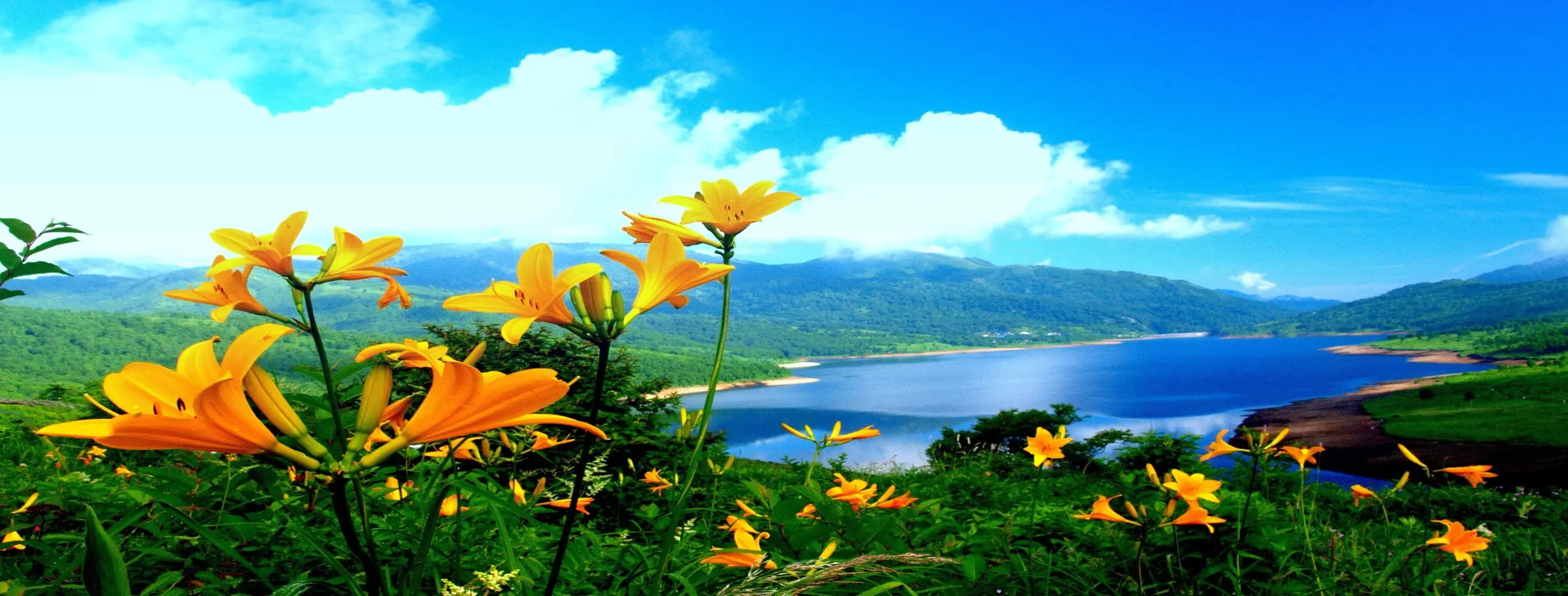 Image for Beautiful Scenery